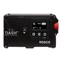 Preview: Rosco DMG DASH
