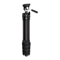 Preview: Vortex Summit Carbon II