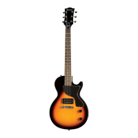 Preview: Gibson Maestro