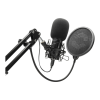 Microphone Logo