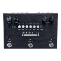 Preview: pigtronix INFINITY 3