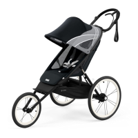 Preview: CYBEX Avi