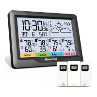 Preview: Newentor Weather Station