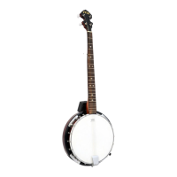Preview: Pyle 5-String Banjo