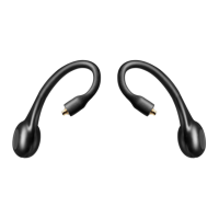 Preview: Shure RMCE-TW2