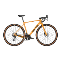 Preview: Canyon GRIZL