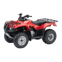 Preview: Honda TRX250TE 2019