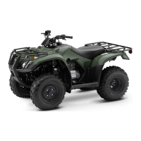 Preview: FourTrax Recon TRX250TM 2019