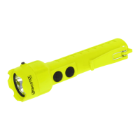 Preview: NightStick XPP-5420