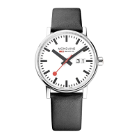 Preview: mondaine Date