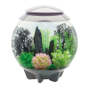 Aquariums Logo
