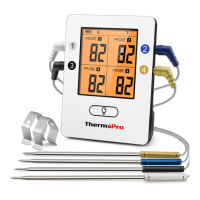 Preview: ThermoPro TP-25