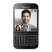 Preview: Blackberry SQC100-2