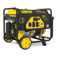 Preview: Champion Global Power Equipment 100592