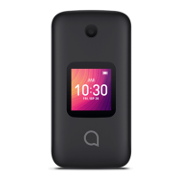Preview: Alcate GO FLIP 3