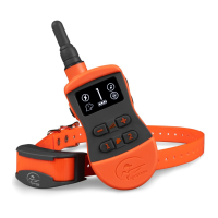 Preview: SportDOG SportTrainer 575