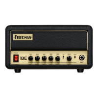 Preview: Friedman Mini BE