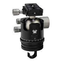 Preview: Vortex RADIAN