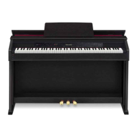 Preview: Casio AP-450