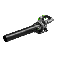 Preview: EGO LB5300