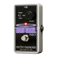 Preview: Electro-Harmonix NEO HOLY GRAIL