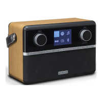 Preview: Roberts Stream 94i