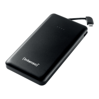 Preview: Intenso S10000