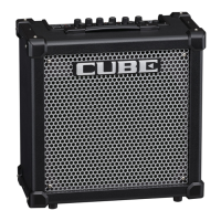 Preview: Roland CUBE-40GX