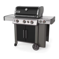 Preview: Weber Genesis II E-335