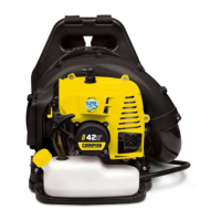 Preview: Champion Power Equipment 100735