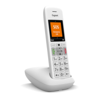Preview: Gigaset E390