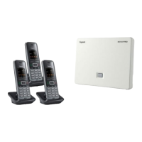 Preview: Gigaset N510