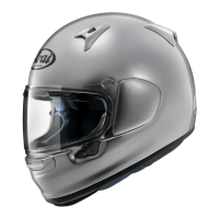 Preview: Arai Regent-X