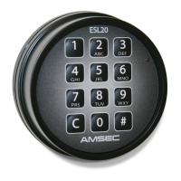 Preview: AMSEC ESL20XL