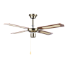 Fan Logo