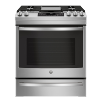 Preview: GE JGS760