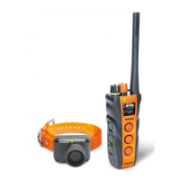 Preview: Dogtra T&B DUAL