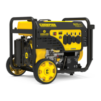 Preview: Champion Global Power Equipment 201004