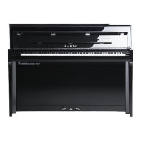 Preview: Kawai NV5