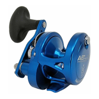 Preview: Avet Reels SXJ