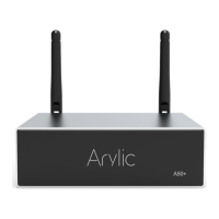 Preview: Arylic A50+