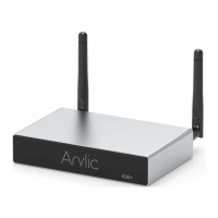 Preview: Arylic A30+