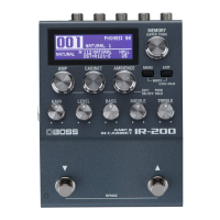 Preview: Boss IR-200