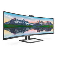 Preview: Philips Brilliance 499P9