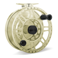 Preview: Tibor Everglades