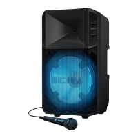 Preview: ION POWER GLOW 300
