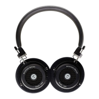 Preview: grado GW100