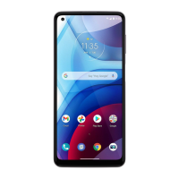 Preview: Cricket moto g