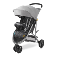 Preview: Century Stroll On 3-Wheel