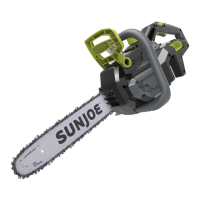 Preview: sunjoe iON100V-18CS-CT